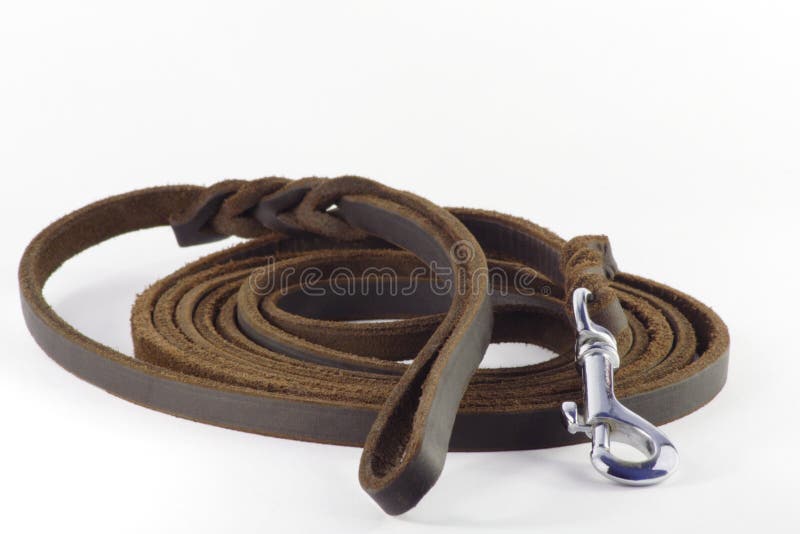Dog leash stock photo. Image of leash, equipment, brown 18727356