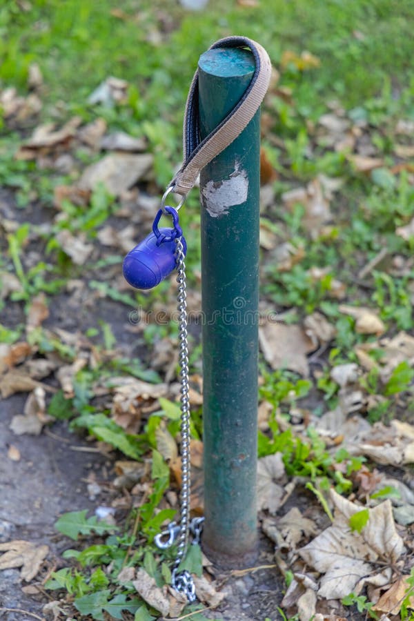 Dog Leash Bag Holder stock image. Image of holder, serbia 235138019