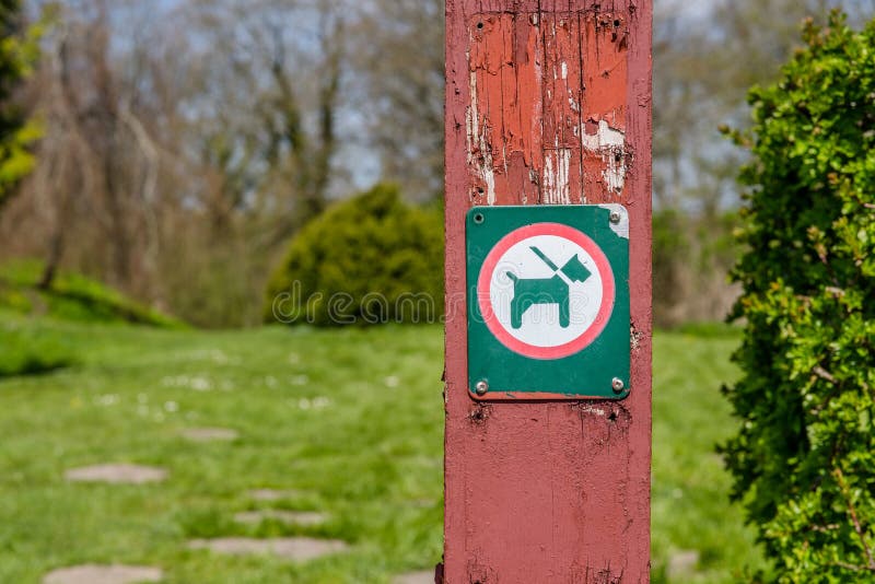 Dog on leash sign stock photo. Image of poop, leash, feces 44652324