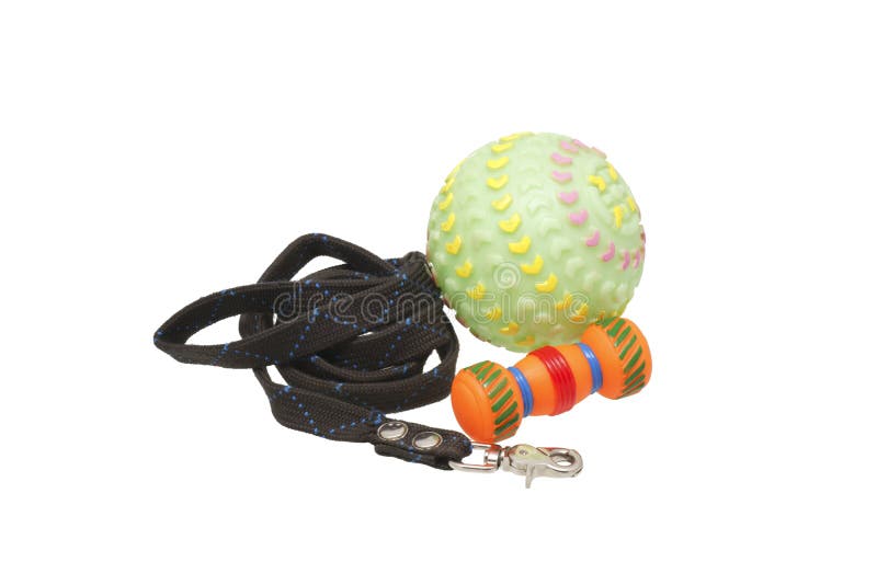 Dog leash and toys. stock image. Image of pets, purebred 70961545