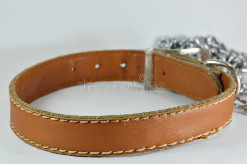6,155 Collar Chain Stock Photos Free & RoyaltyFree Stock Photos from