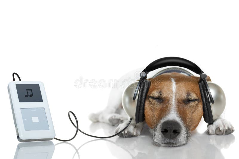 Dog listen to music stock photo. Image of isolated, headphones 23638440