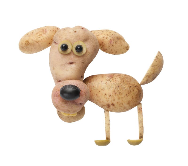 Dog made of potato stock image. Image of organic, olive - 61982477
