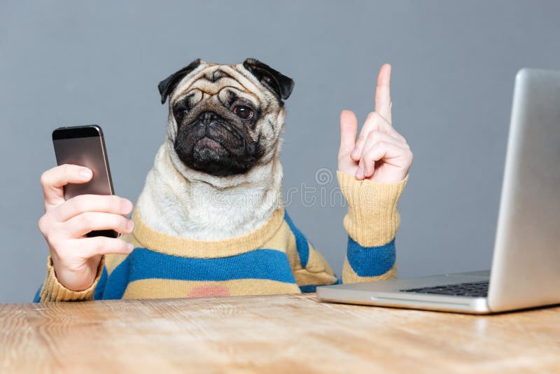Dog with Man Hands Using Mobile Phone and Pointing Up Stock Photo ...