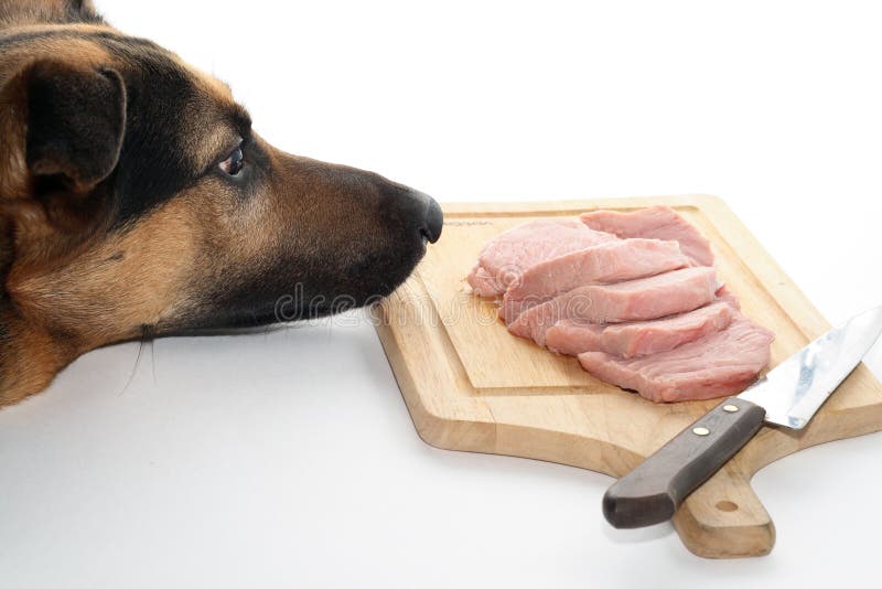 dog-meat-9069105.jpg