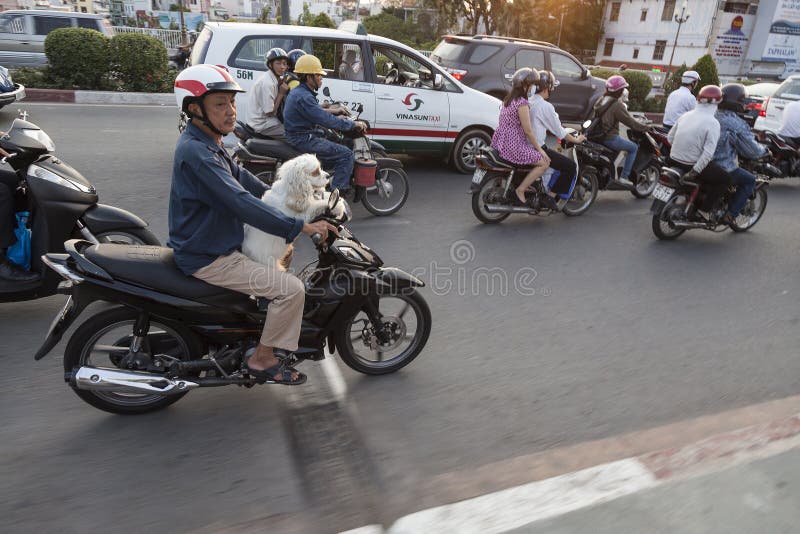 Dog and girl sex in Ho Chi Minh City
