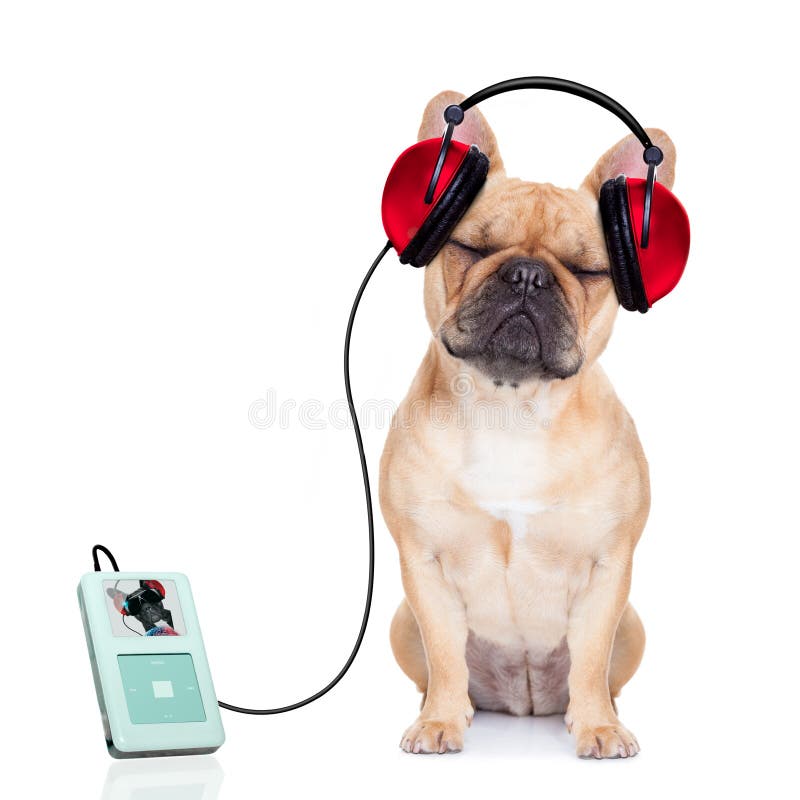 sound dog music