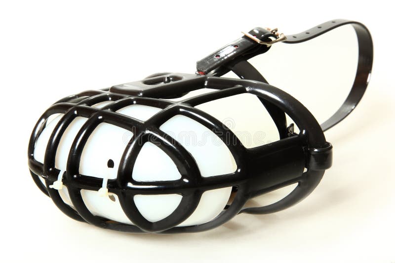 Dog Muzzle with Stool Guard Stock Photo - Image of barrel, protection