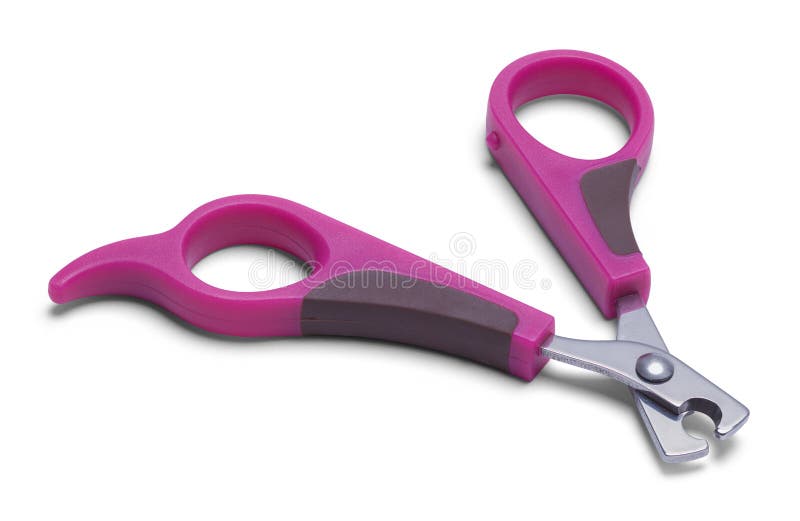dog groomer nail clippers