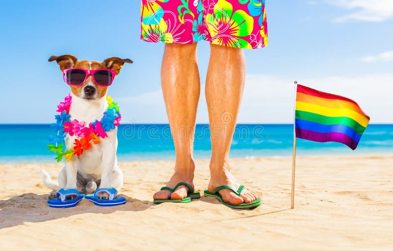 Gay pride dog and owner on summer holidays royalty free stock images Gay pride dog and owner on summer holidays royalty free stock images