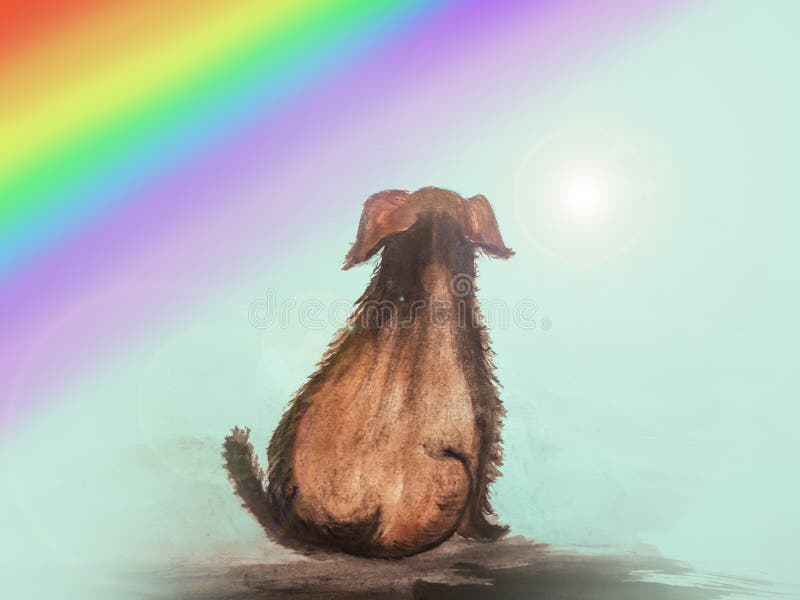 Drawing of a dog near a rainbow. Drawing of a dog near a rainbow