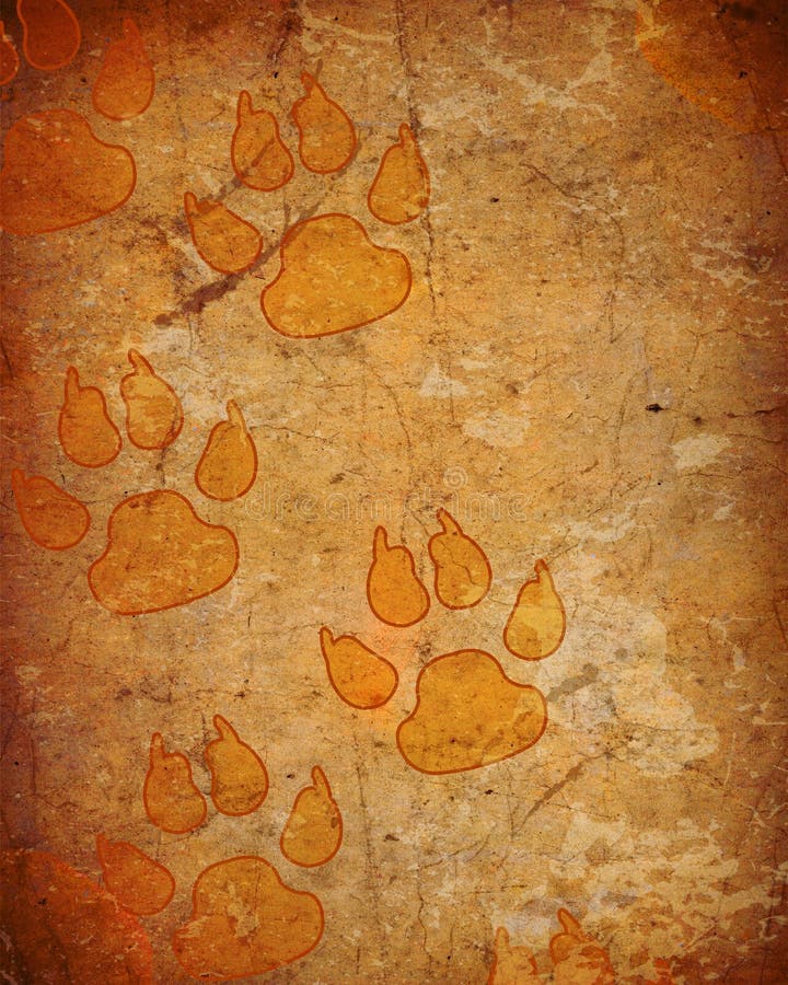 Dog paw prints