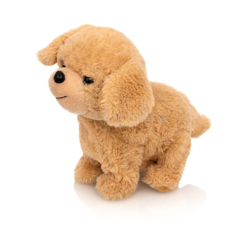 Dog Plushie Doll Isolated On White Background With Shadow Reflection. Playful Bright Brown Puppy ...