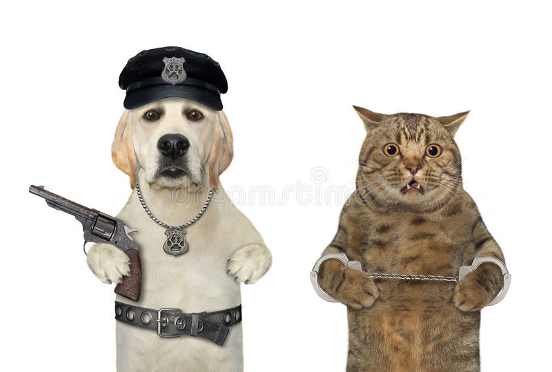 Portrait of a Funny Cat in a Police Hat and Tie Stock Photo - Image of  constable, kitten: 178698814