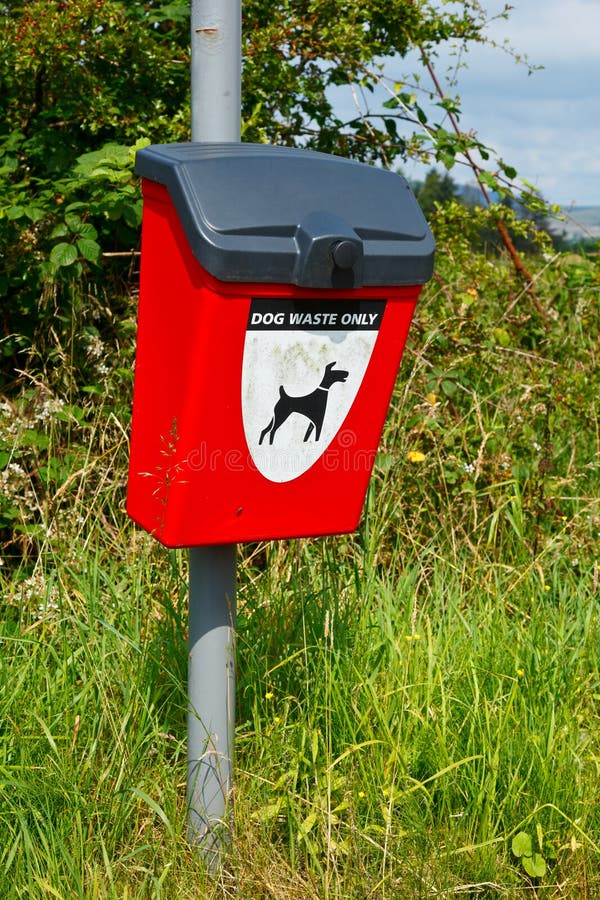 Dog Poop Box stock photo. Image of plastic, park, bucket 27907314