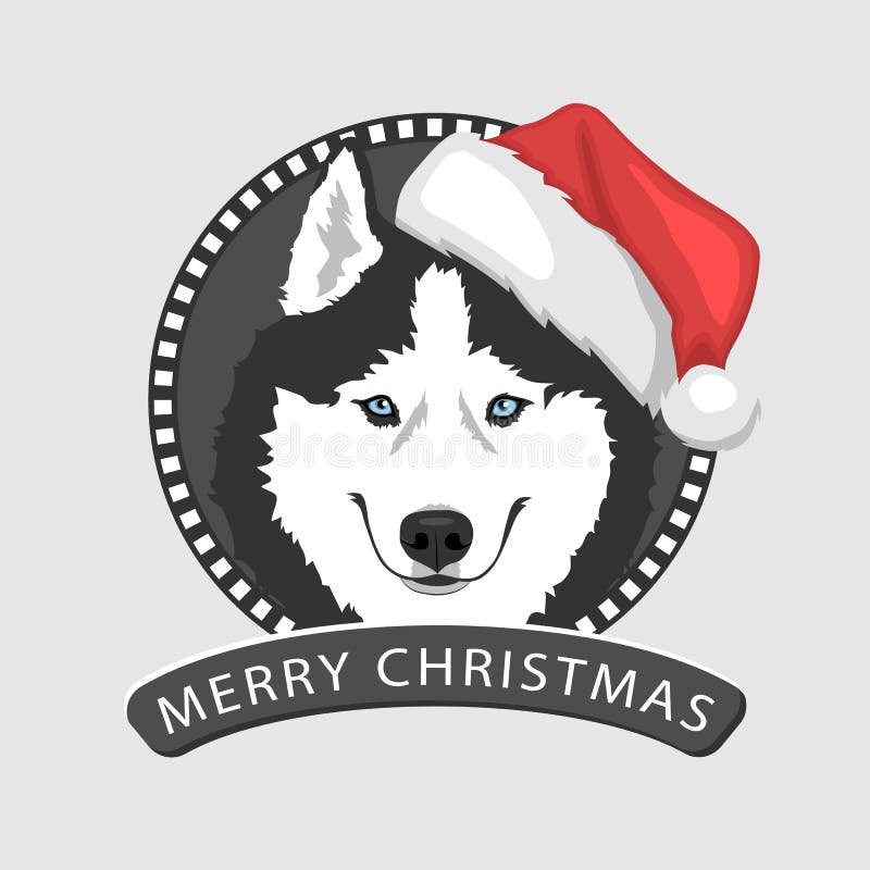 Christmas husky dog