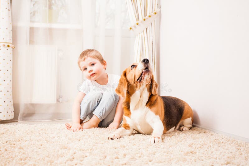 Dog Protects Child Stock Photos Free & RoyaltyFree Stock Photos from