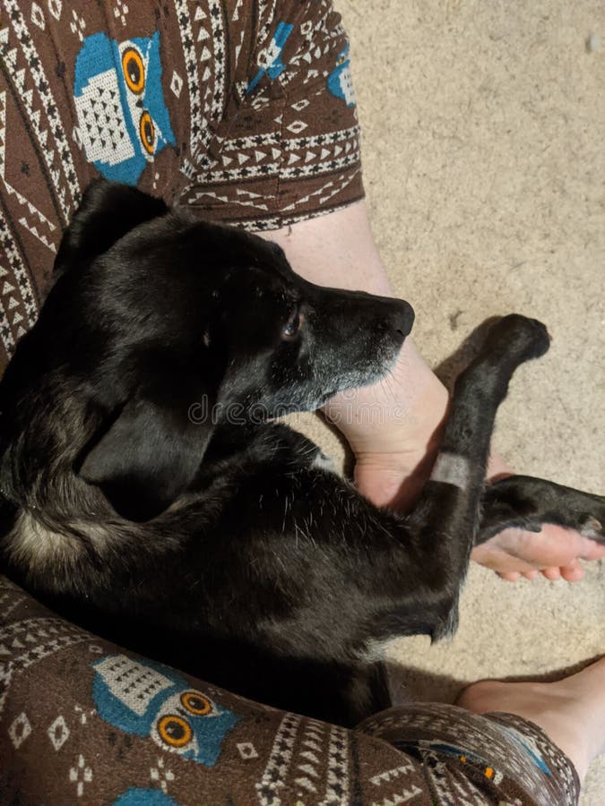 Hospital Visit from the Family for Stock Photo Image of person, home