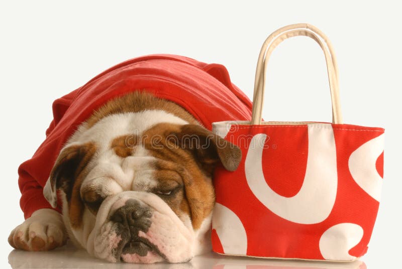 Ugly Purse Stock Photos - Free & Royalty-Free Stock Photos from Dreamstime