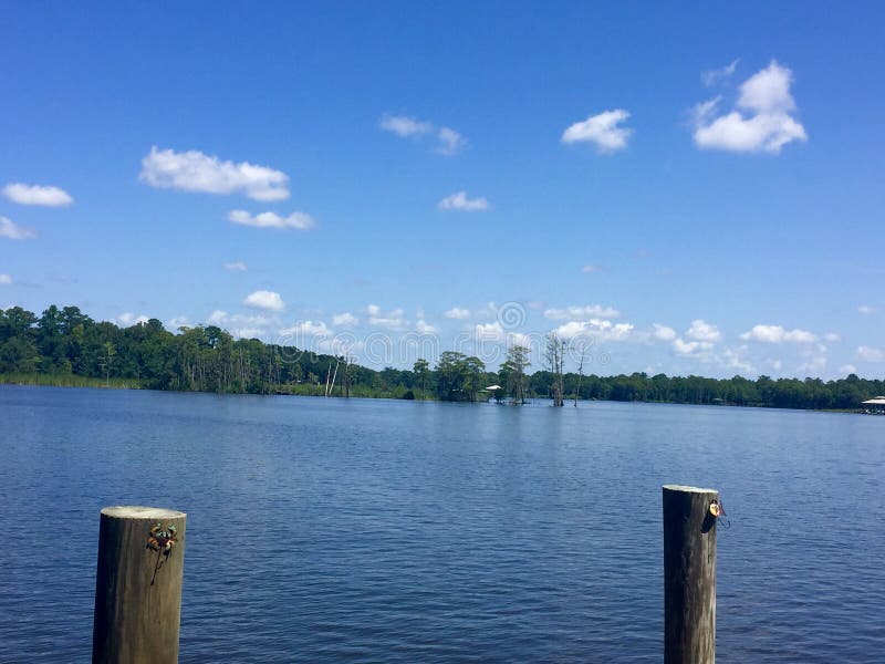 33,513 Dog River Stock Photos Free & RoyaltyFree Stock Photos from