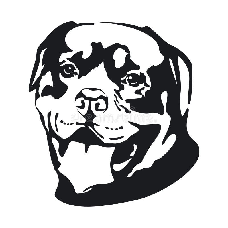 Dessin De Rottweiler : Coloriage Rottweiler a colorier | Coloriage à