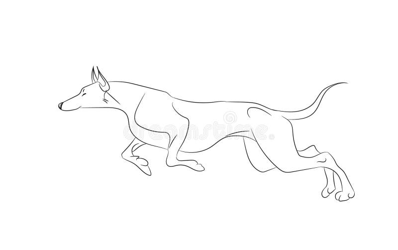 Dog running, lines, vector stock vector. Illustration of care 113372758