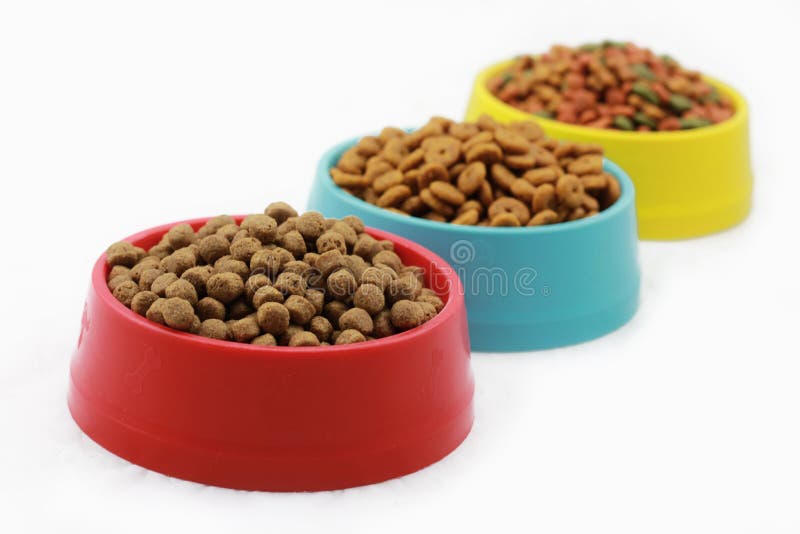 Dog`s pellets in bowl stock image. Image of feed, dinner 96463967