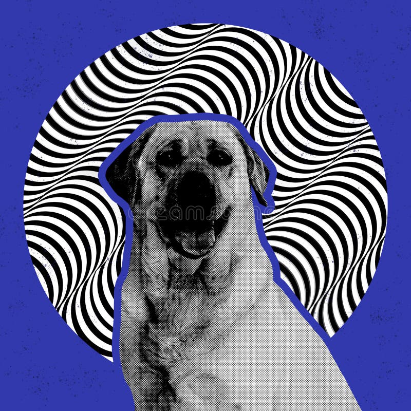 Dog&x27;s portrait over surreal background with optical illusion elements. Contemporary art collage. Art, ideas
