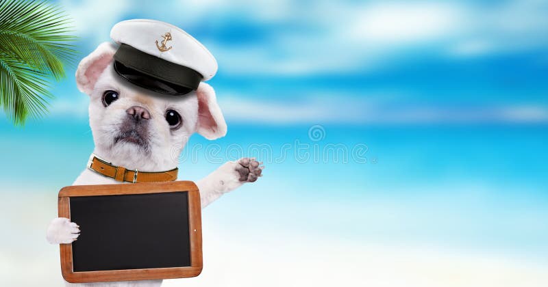 Dog sailor relaxing in the sea background. Dog holds blank blackboard .
