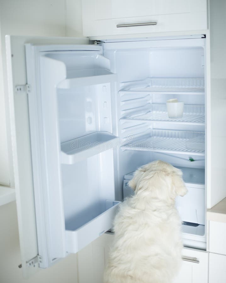 Open Refrigerator with Stocked Food Products Stock Image Image of