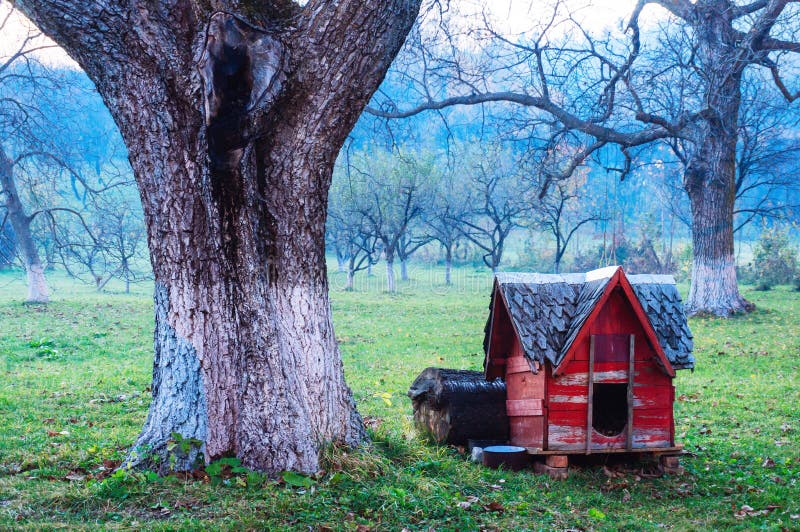 Dog shed in courtyard stock image. Image of house, outdoors 51565457