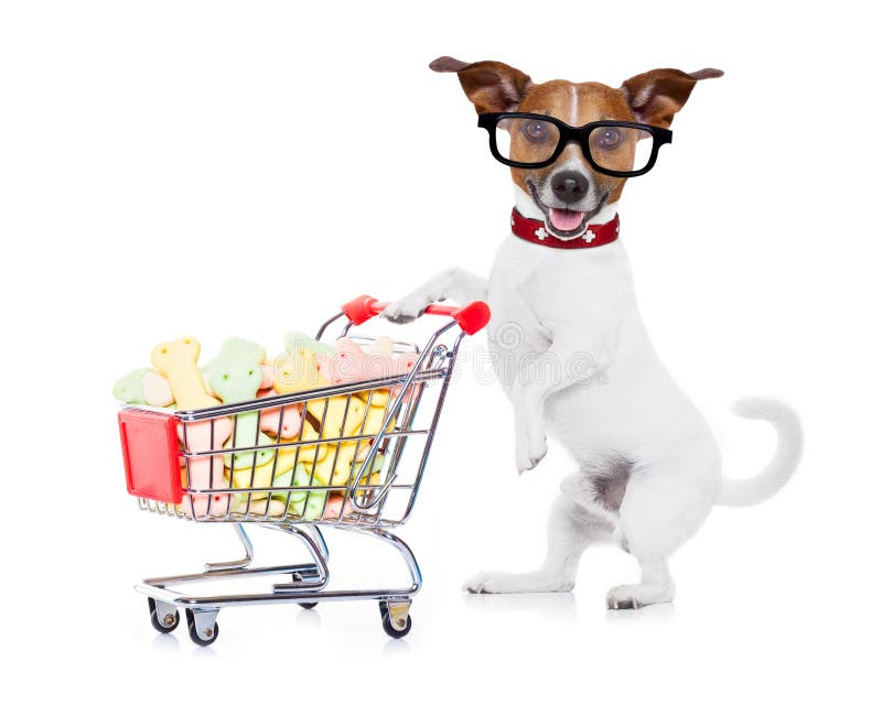 Dog with shopping cart stock photography Dog with shopping cart stock photography