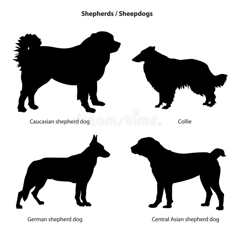 Dog silhouette icon set. Sheped dog collection. Sheedogs.