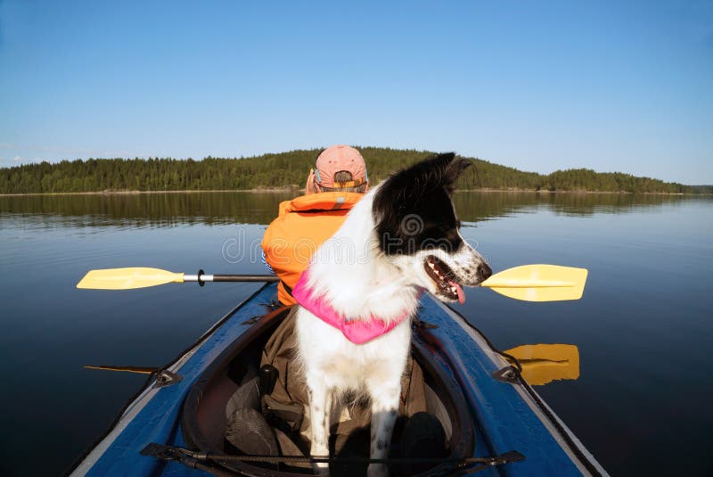 Dog in a Life Jacket Floating on the Lake in a Kayak . Stock Photo - Image  of boat, black: 154984368