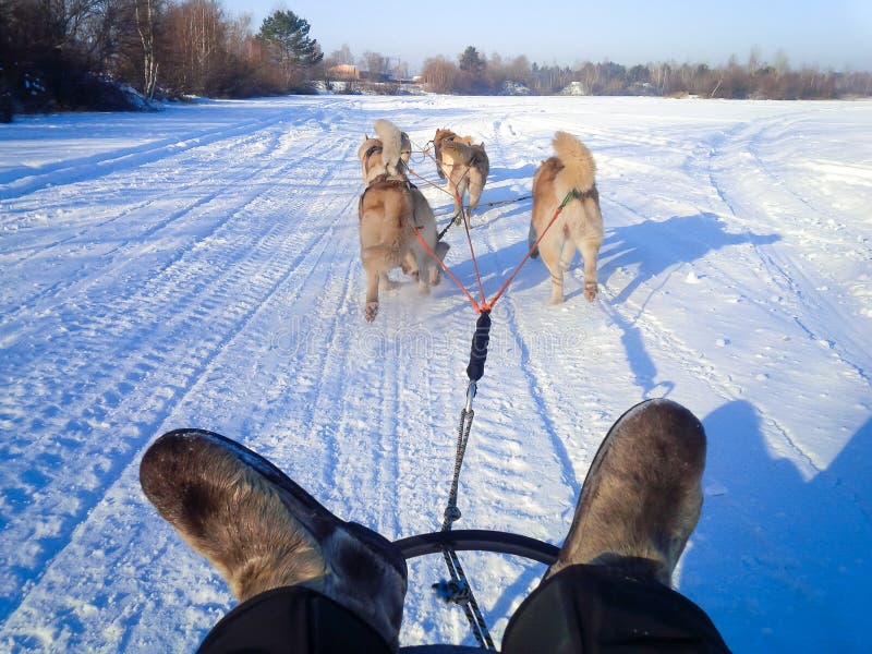 mushing boots