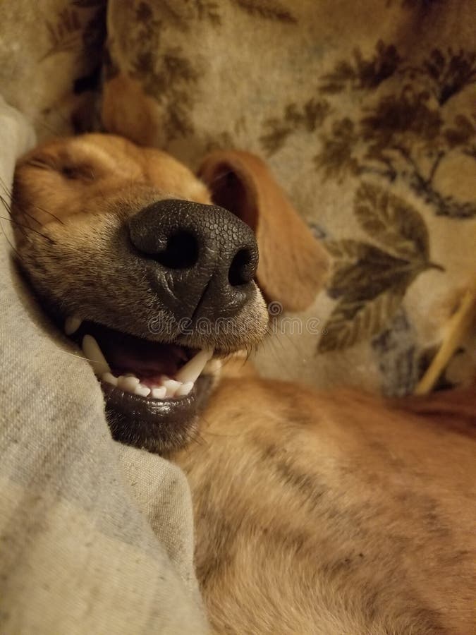 Thomasia Slone (Thomasiaslone) Photographer profile