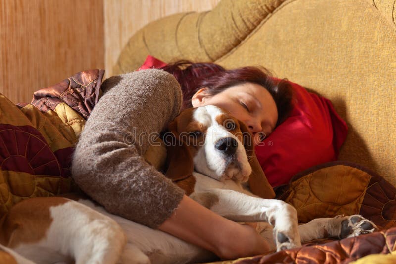 Dog Sleeps on the Bed with the Mistress Stock Photo Image of lying