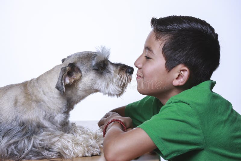 Dog sniffs boy in studio shot.