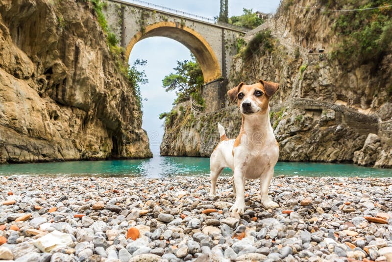 Dog It is standing on the beach between the rocks in the gorge