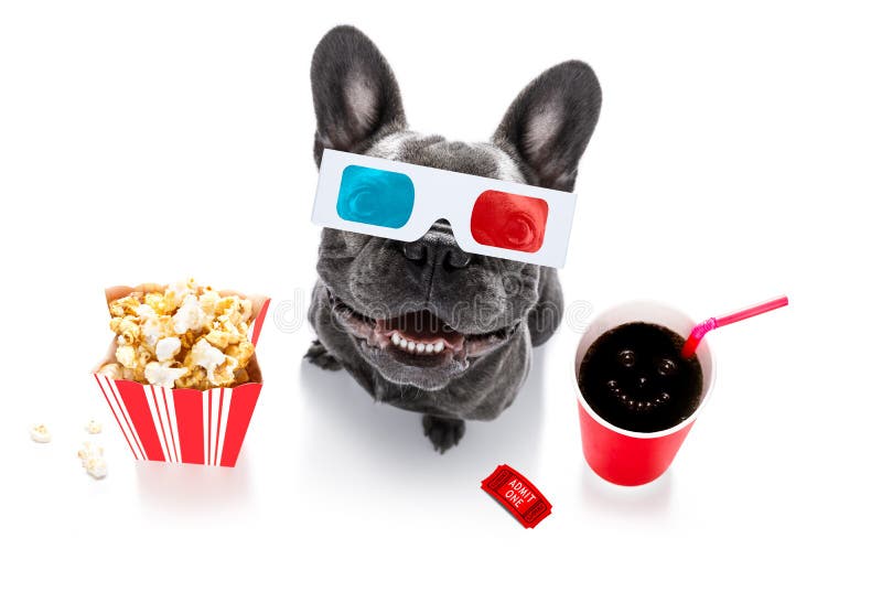Dog to the movies stock image. Image of funny, entertainment - 146644807 Dog to the movies stock image. Image of funny, entertainment - 146644807