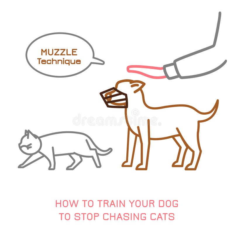 Dog Chasing Cat Stock Illustrations 35 Dog Chasing Cat Stock Illustrations Vectors Clipart Dreamstime