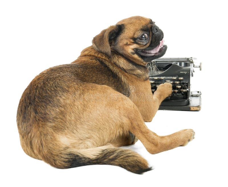 Business dog typewriter stock photo. Image of foreman - 32947074