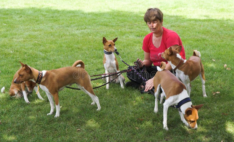 Girl Dog Knot Stock Photos - Free & Royalty-Free Stock Photos from