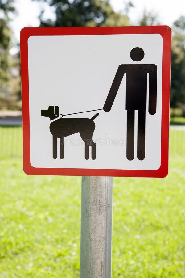 Dog Walking Sign stock photo. Image of pavement, design 39599020