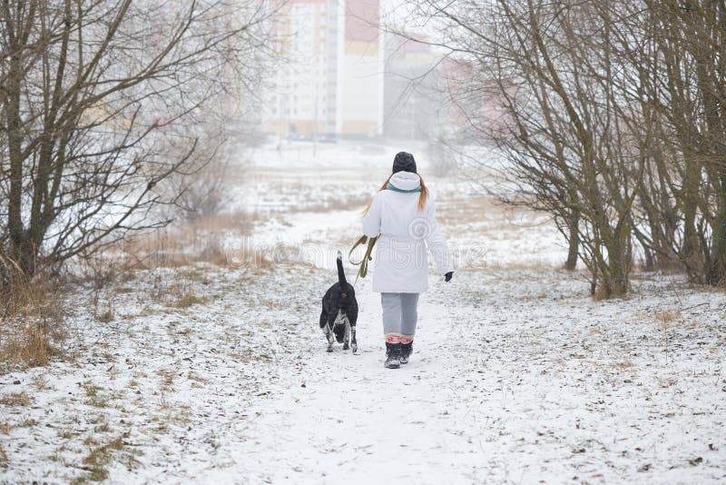 Dog Walks on a Leash Girl in Winter. Stock Image Image of frozen