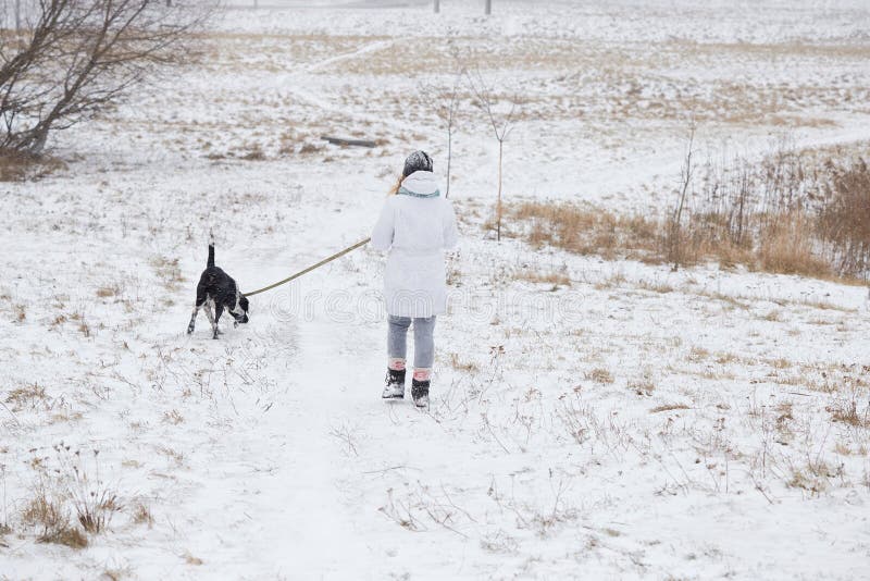 Dog Walks on a Leash Girl in Winter. Stock Photo Image of boots