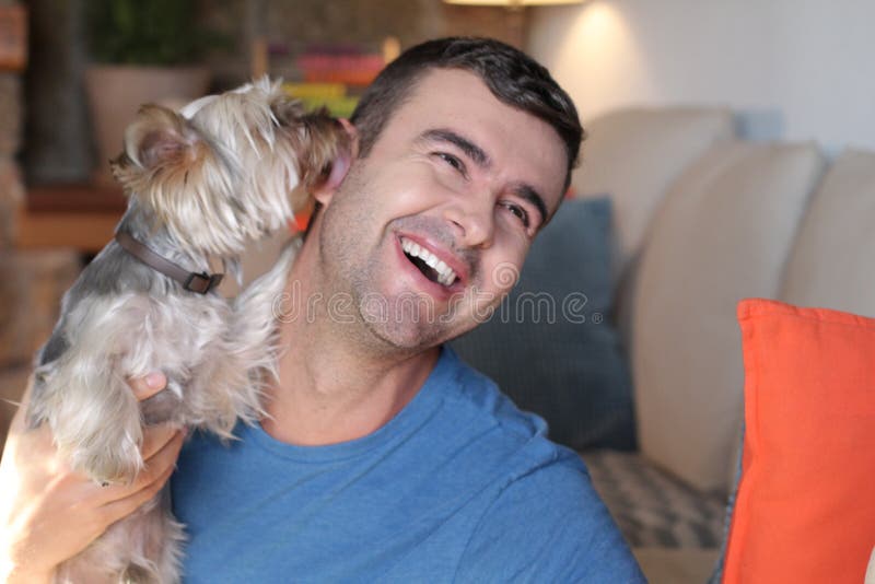 Dog welcoming owner with a kiss royalty free stock photo