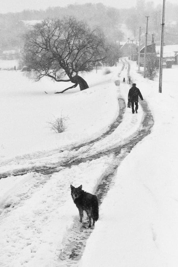A dog in winter street with a silhouette of man stock photography A dog in winter street with a silhouette of man stock photography
