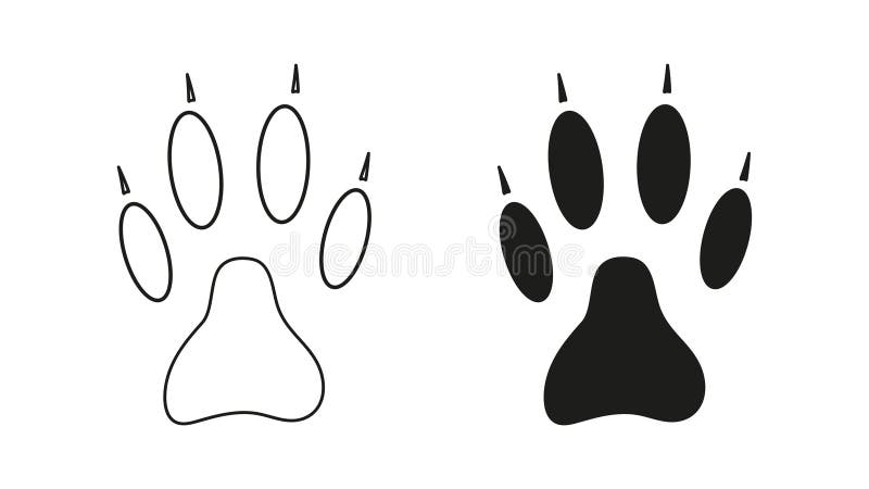 Predator footprint wild animals paw prints cat Vector Image