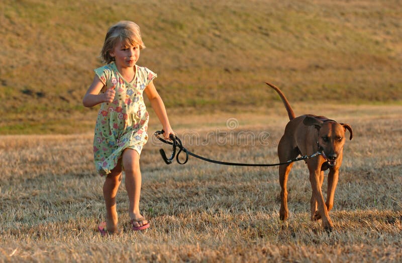 Bambina con cane al guinzaglio correre attraverso il prato in estate, al tramonto.